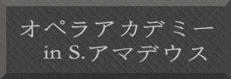オペラアカデミー in S.アマデウス